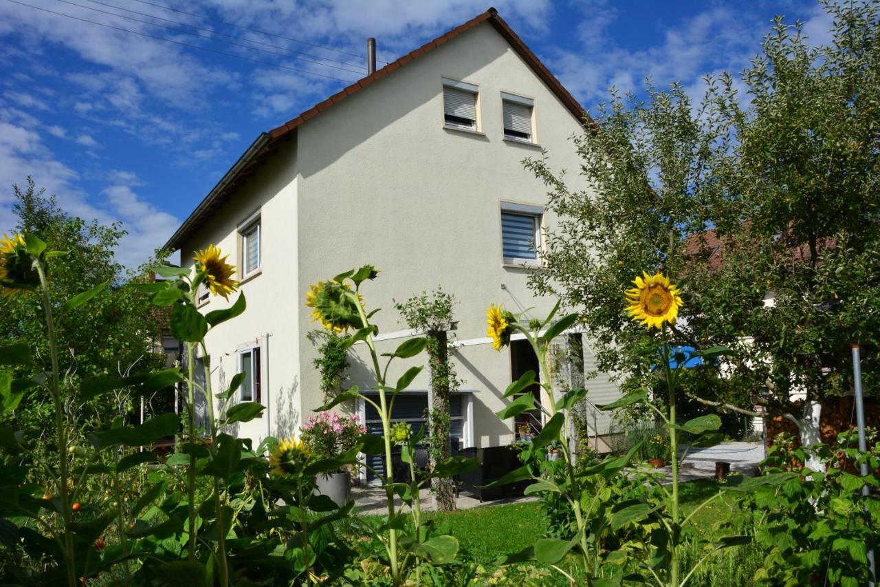 Ferienwohnung - Damisa House Metzingen  Dış mekan fotoğraf